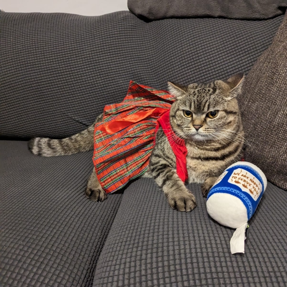 Meet your Posher, Iram